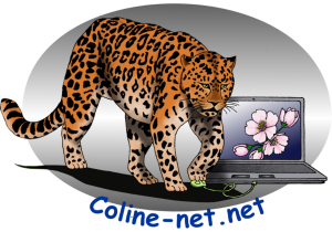 Coline-net.net